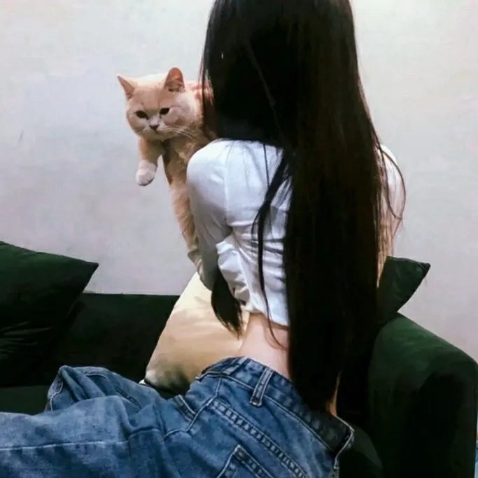 诅咒船长